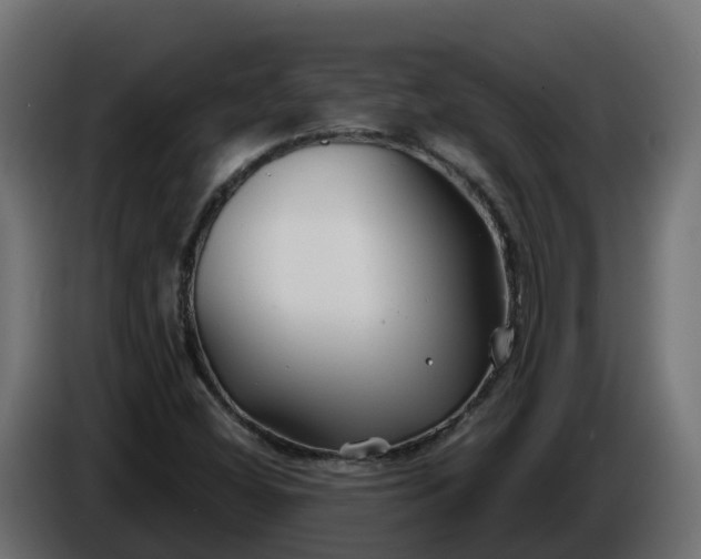 X0000086321404200704131643