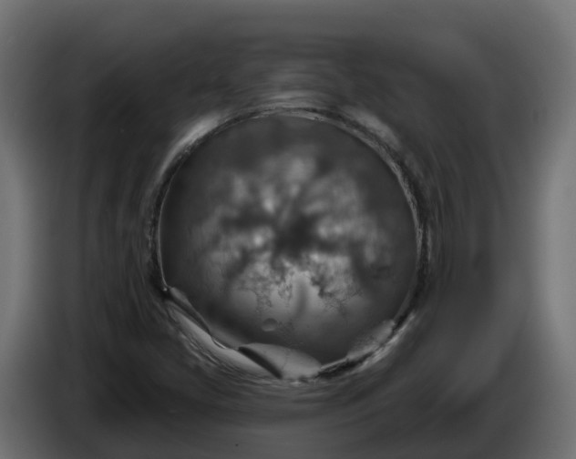 X0000086321405200704131643