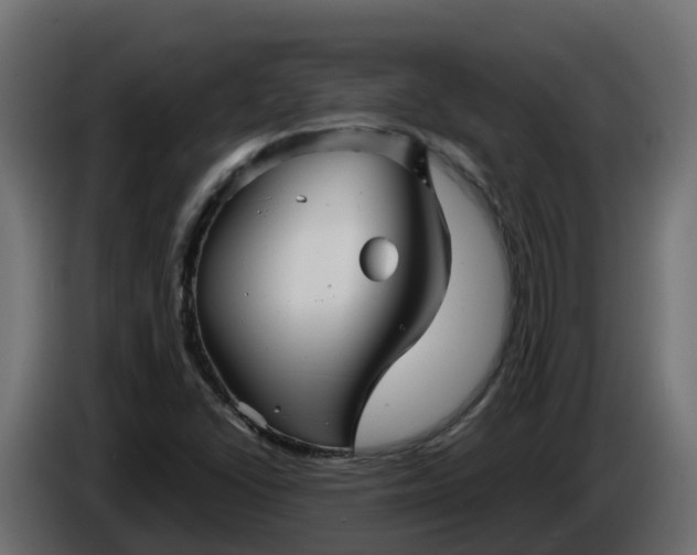 X0000086321406200704131643