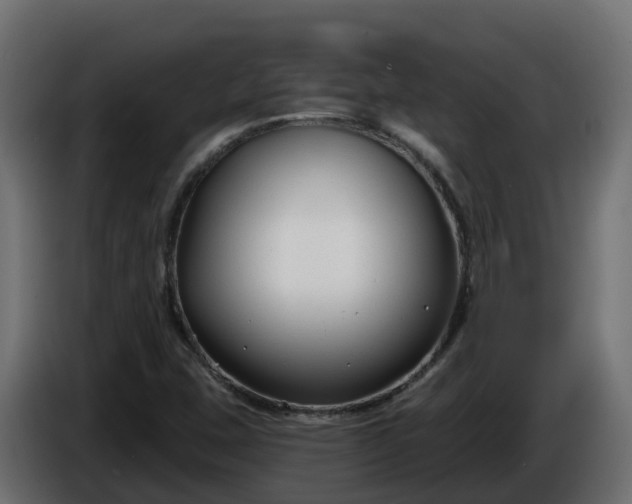 X0000086321407200704131643