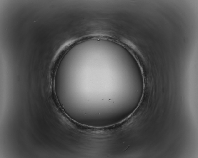 X0000086321408200704131643