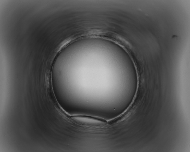 X0000086321409200704131643