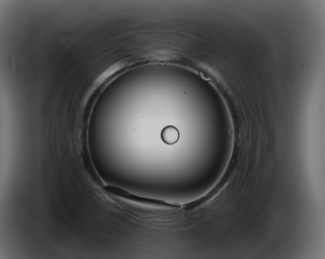 X0000086321410200704131643