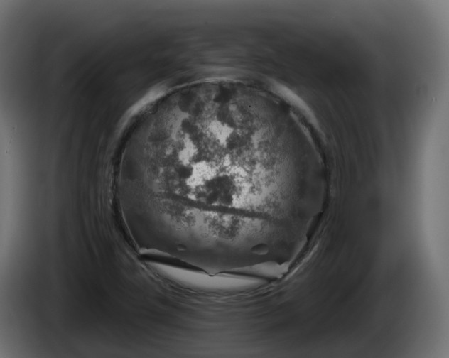 X0000086321411200704131643