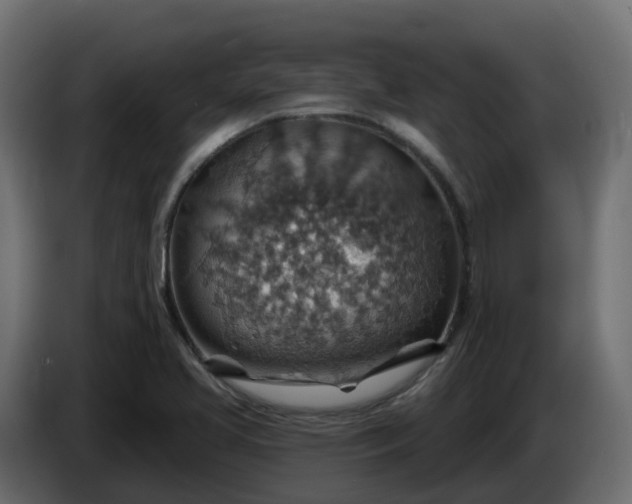 X0000086321413200704131643