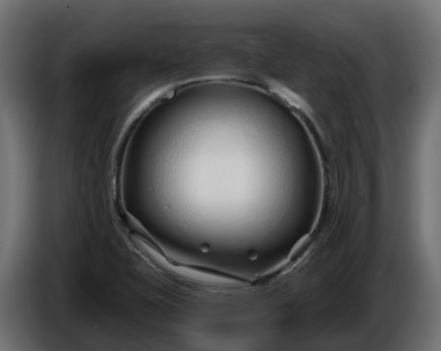 X0000086321415200704131643