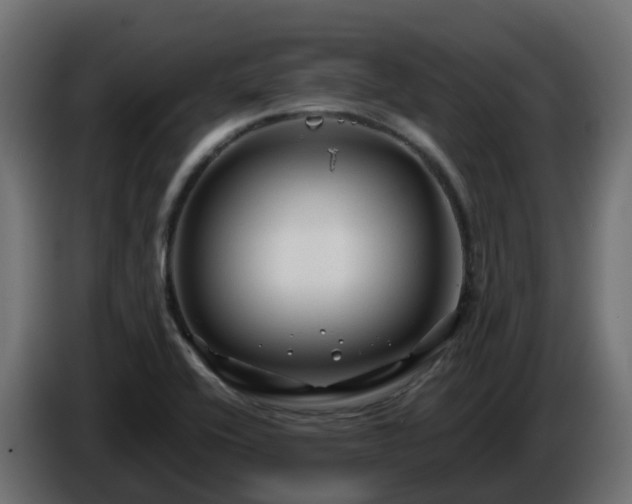 X0000086321416200704131643