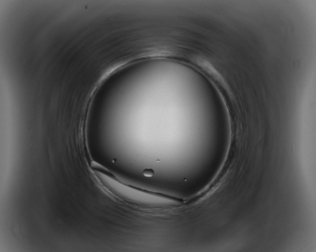 X0000086321417200704131643