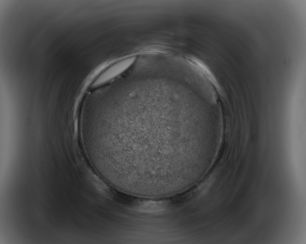 X0000086321419200704131643