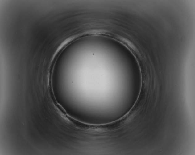 X0000086321420200704131643