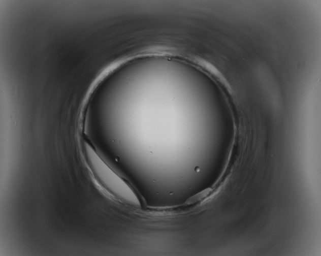 X0000086321421200704131643