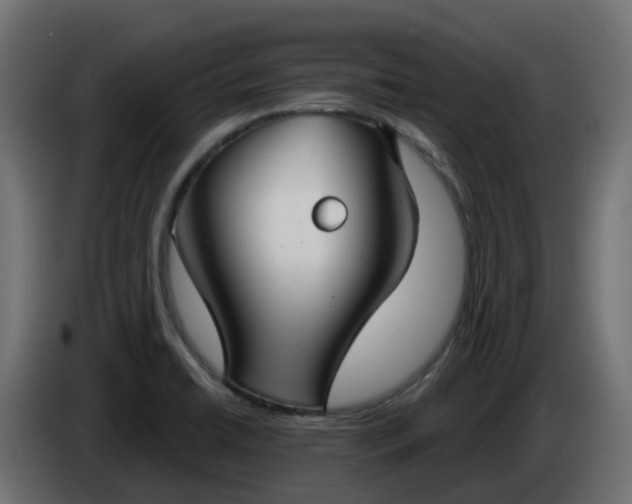 X0000086321422200704131643