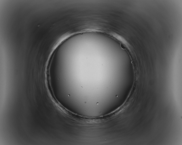 X0000086321423200704131643