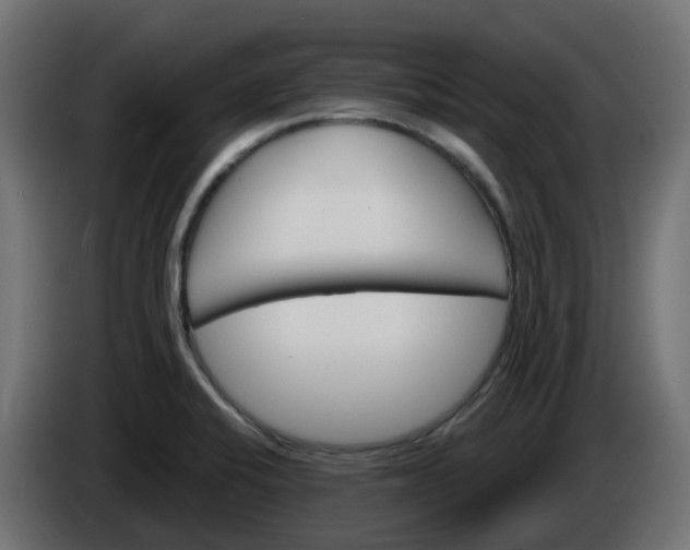 X0000086321424200704131644