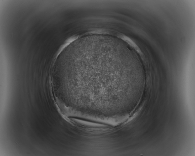 X0000086321425200704131644