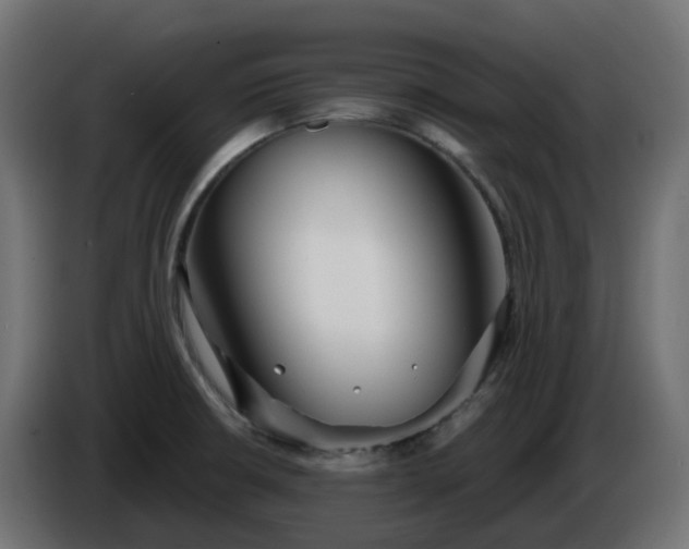 X0000086321426200704131644