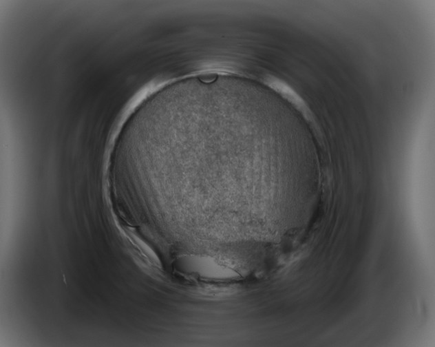 X0000086321427200704131644