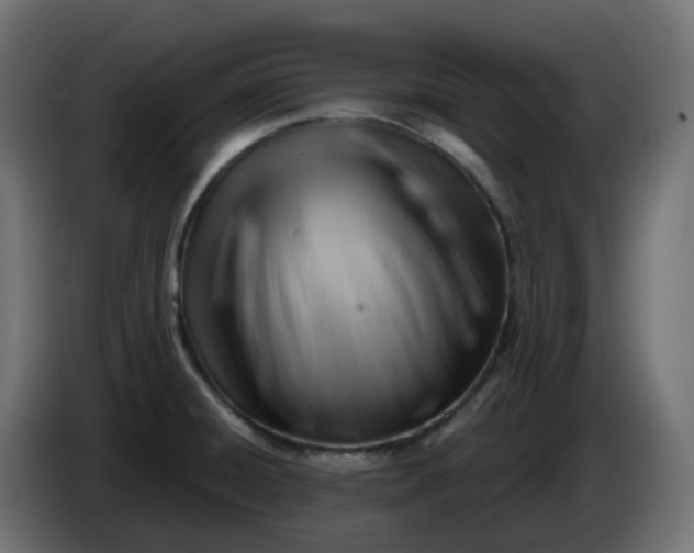 X0000086321428200704131644