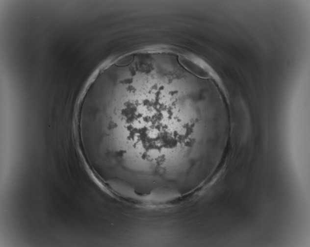 X0000086321429200704131644