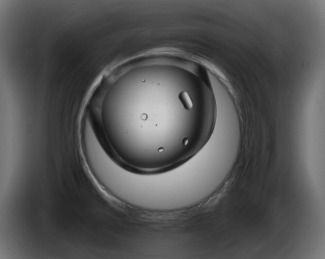 X0000086321430200704131644