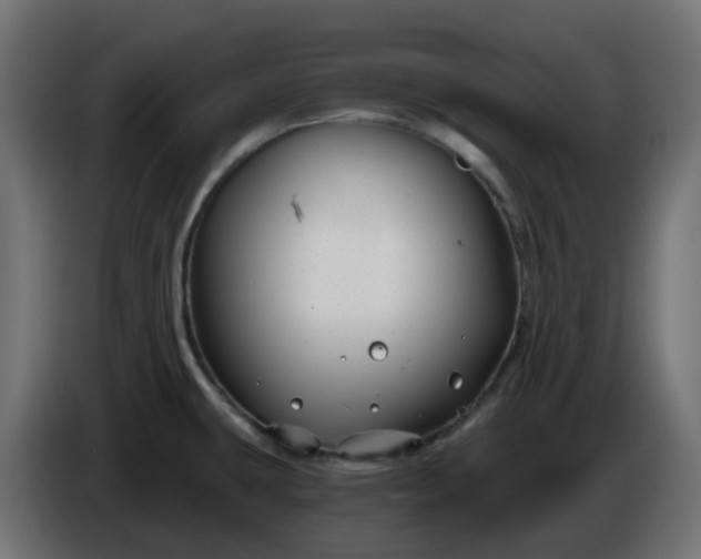 X0000086321431200704131644