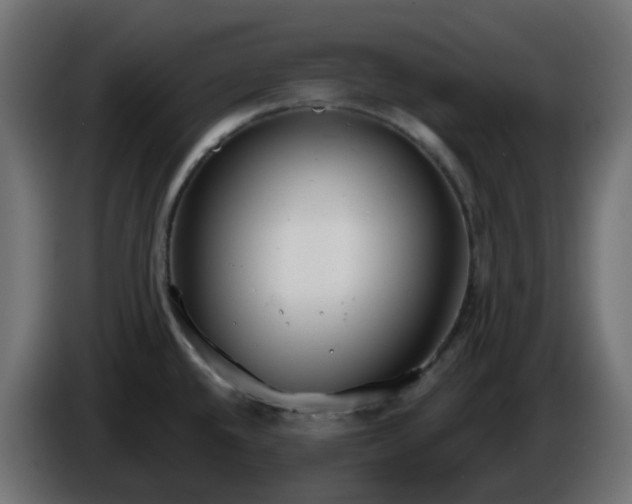 X0000086321432200704131644