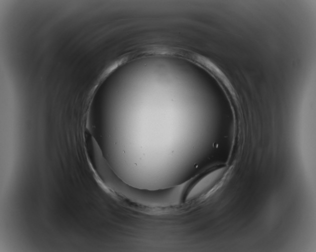 X0000086321433200704131644