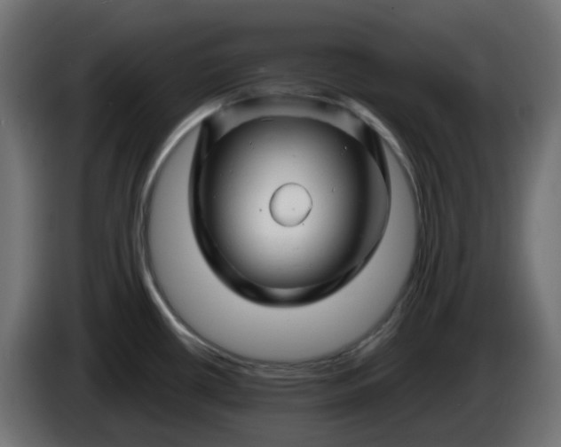 X0000086321434200704131644