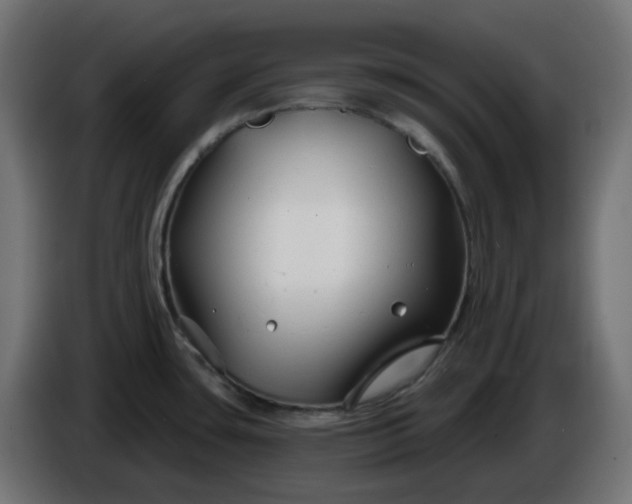 X0000086321435200704131644