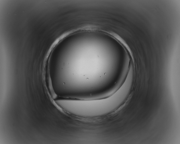 X0000086321437200704131644