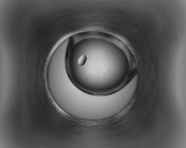 X0000086321438200704131644