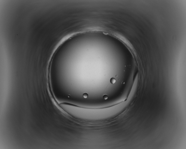 X0000086321439200704131644