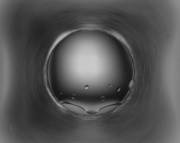 X0000086321440200704131644