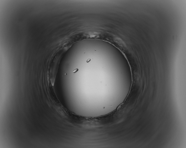 X0000086321442200704131643