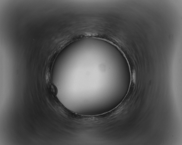 X0000086321444200704131643