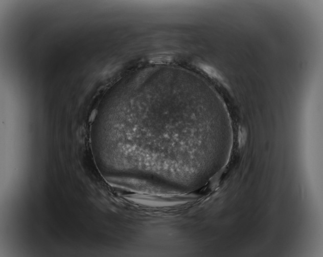 X0000086321445200704131643