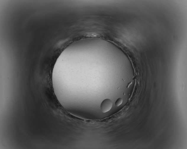 X0000086321446200704131643