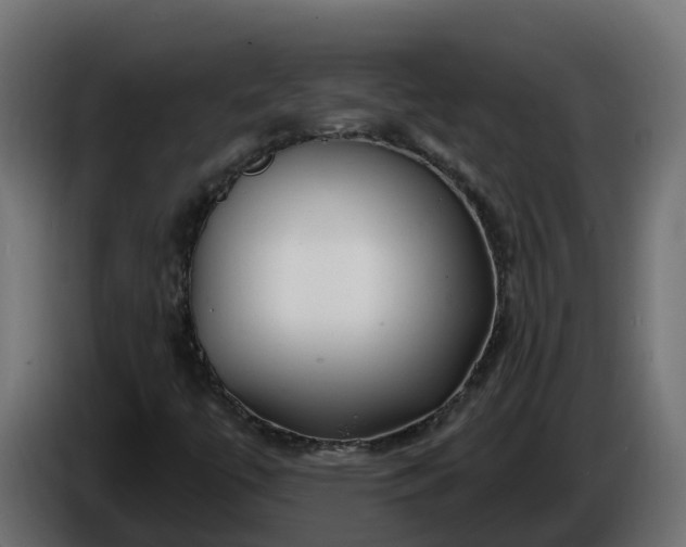 X0000086321447200704131643