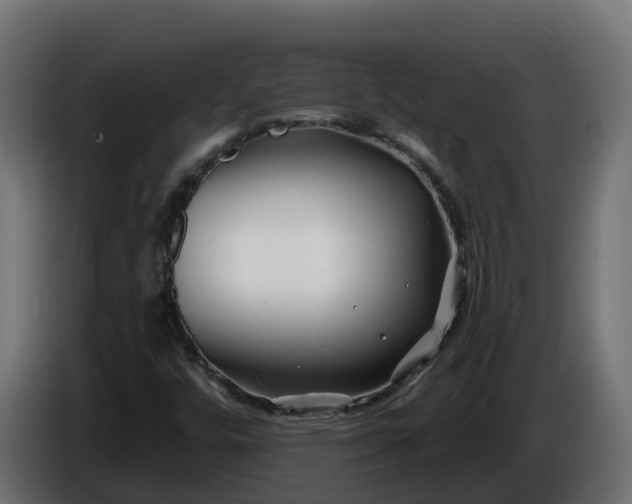 X0000086321448200704131643