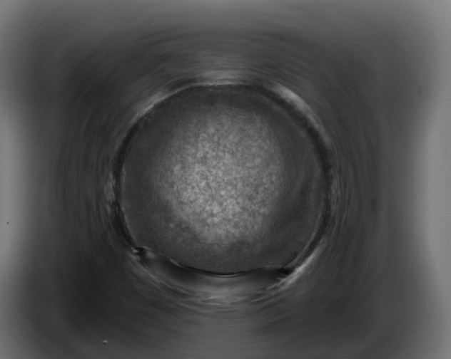 X0000086321449200704131643