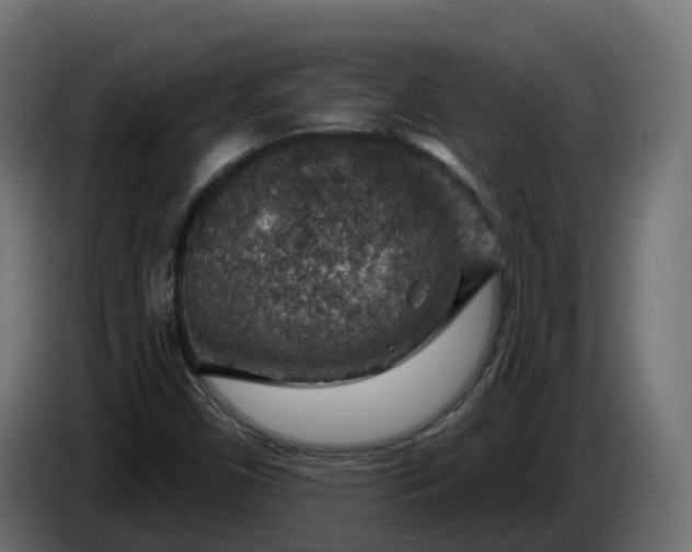 X0000086321450200704131643