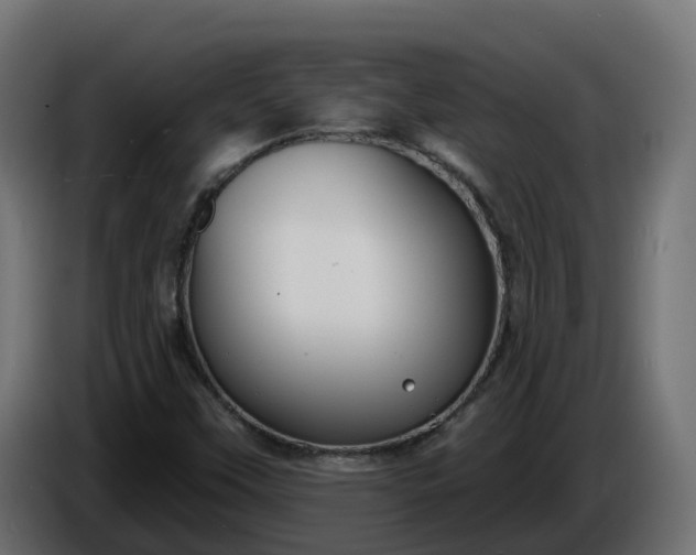 X0000086321451200704131643