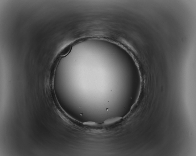 X0000086321452200704131643