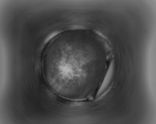 X0000086321453200704131643