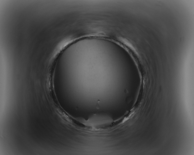 X0000086321455200704131643