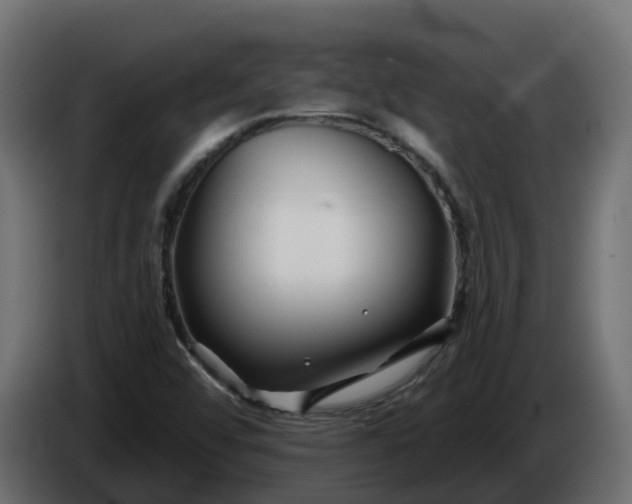 X0000086321456200704131643