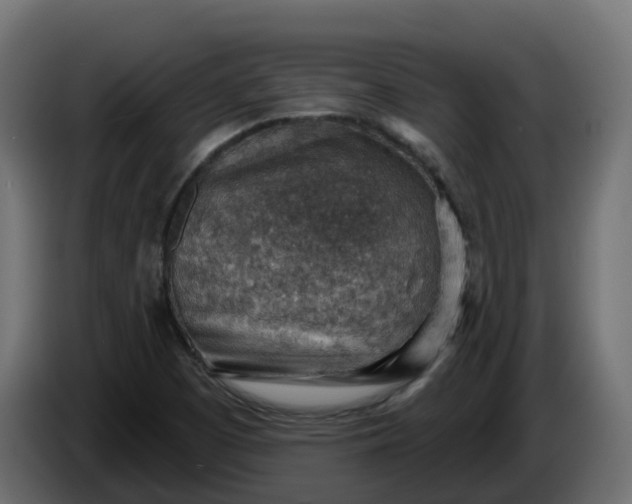 X0000086321457200704131643