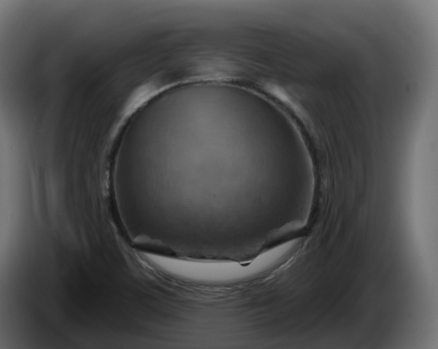 X0000086321459200704131643