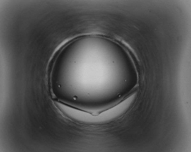 X0000086321460200704131643