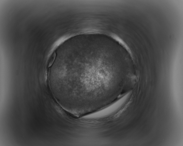 X0000086321461200704131643